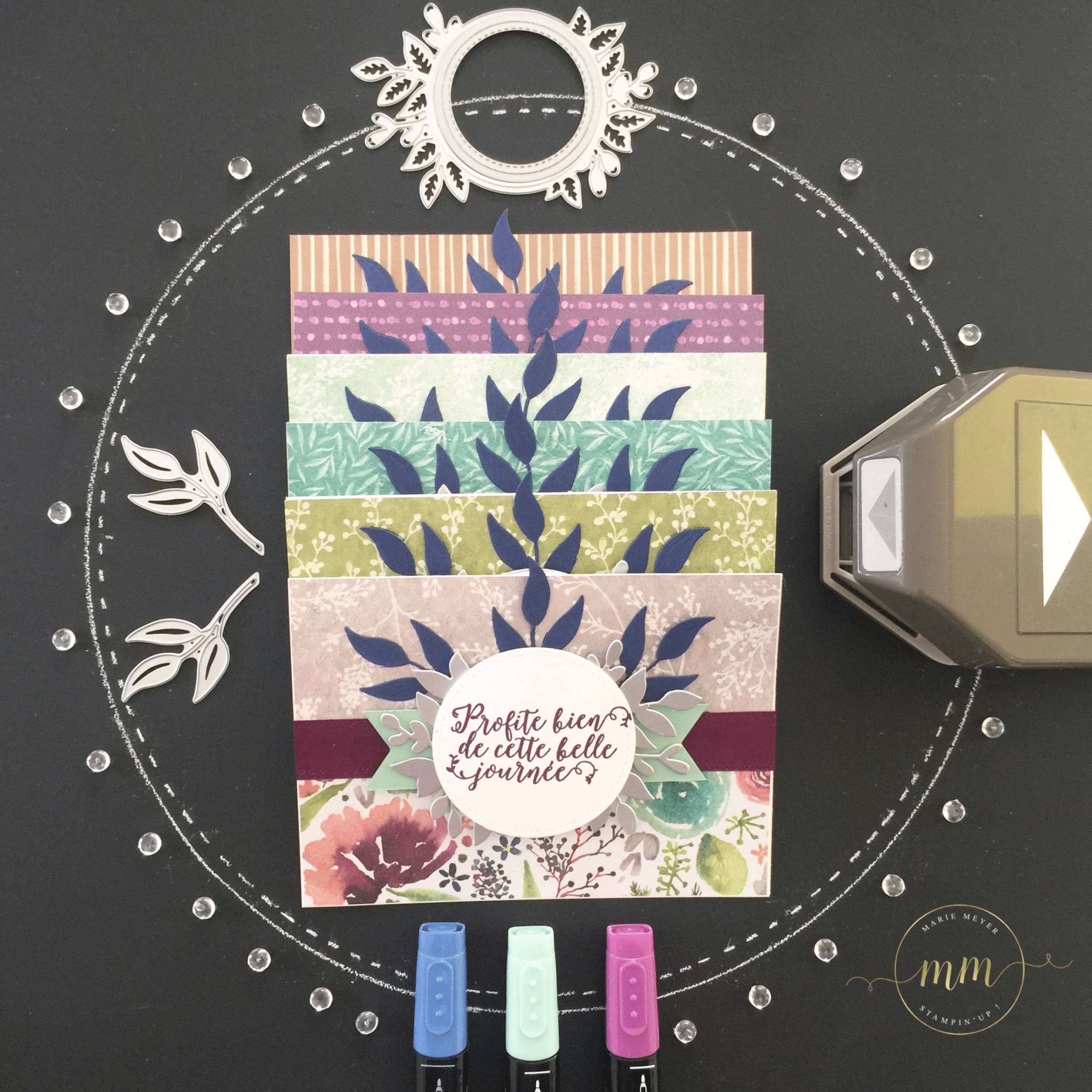 Ateliers Scrapbooking Fr Marie Meyer Demonstratrice Stampin Up France Cartes Anniversaire Papier Design Specialite Fleurs Glacees